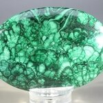 Malachite Palmstone (Extra Grade) ~70x50mm