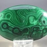 Malachite Palmstone (Extra Grade) ~70x50mm