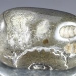 Marston Marble Polished Stone ~22mm