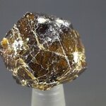 Melanite Garnet Healing Crystal ~22mm