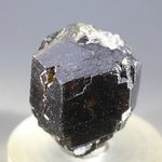 Melanite Garnet Healing Crystal ~27mm