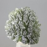 MYSTERIOUS Moldavite Healing Crystal (Collector Grade) ~21mm