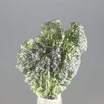 Moldavite Healing Crystal (Collector Grade) ~25mm