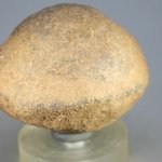 Monster Moqui Marble ~48mm