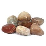 Moonstone Tumble Stone (25-30mm)