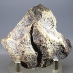 Moroccan Stony Meteorite ~65mm