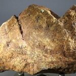 MAGNIFICENT Moroccan Stony Meteorite ~85mm