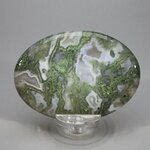 Moss Agate Palmstone (Extra Grade) ~70x50mm