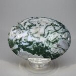 Moss Agate Palmstone (Extra Grade) ~70x50mm