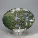 Moss Agate Palmstone (Extra Grade) ~70x50mm