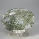 Moss Agate Palmstone (Extra Grade) ~70x50mm