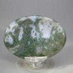 Moss Agate Palmstone (Extra Grade) ~70x50mm