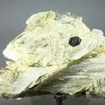 Muscovite Healing Mineral ~115mm