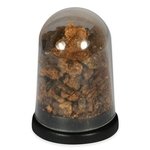 Nantan Meteorite Dust Energy Dome (Limited Edition)
