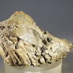 Nantan Meteorite from China ~51mm
