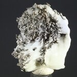 Native Silver Healing Mineral Specimen ~25mm