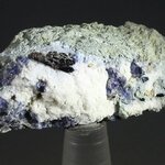Neptunite & Benitoite Healing Mineral ~35mm
