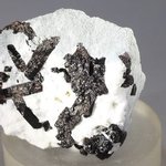 Neptunite Healing Mineral ~38mm