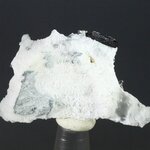 Neptunite Healing Mineral ~38mm
