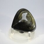 Obsidian Sheen-Gold Polished Stone ~47mm