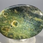 Ocean Jasper Palmstone (Extra Grade) ~70x50mm
