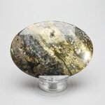 Ocean Jasper Palmstone (Extra Grade) ~70x50mm
