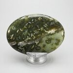 Ocean Jasper Palmstone (Extra Grade) ~70x50mm