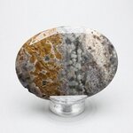 Ocean Jasper Palmstone (Extra Grade) ~70x50mm