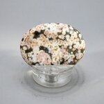 Ocean Jasper Thumbstone(Extra Grade) ~40x30mm