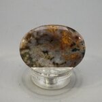 Ocean Jasper Thumbstone(Extra Grade) ~40x30mm