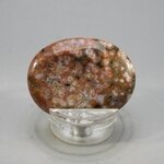 Ocean Jasper Thumbstone(Extra Grade) ~40x30mm