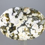 Ocean Jasper Thumbstone (Extra Grade) ~40mm