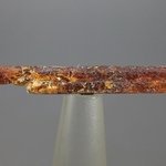 Orange Kyanite Healing Crystal ~47mm