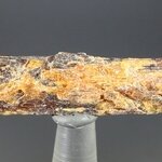 Orange Kyanite Healing Crystal ~51mm