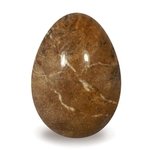 Petrified Wood Crystal Egg ~48mm