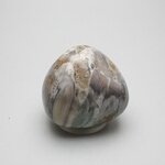 Petrified Wood Extra Large Tumblestone ~47mm