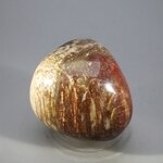 Petrified Wood Extra Large Tumblestone ~48mm