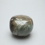 Petrified Wood Extra Large Tumblestone ~48mm