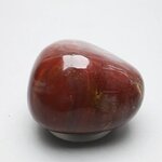 Petrified Wood Extra Large Tumblestone ~48mm