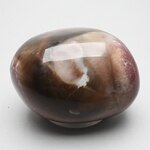 Petrified Wood Extra Large Polished stone ~53mm
