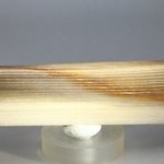 Petrified Wood Polished Tile ~96mm