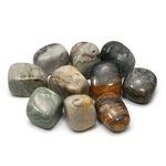 Picasso Jasper Tumble Stone (20-25mm)