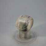 Picasso Jasper Tumblestone ~25mm