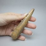 Picture Jasper Crystal Massage Wand ~100mm