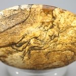 Picture Jasper Palmstone (Extra Grade)  ~60 x 40mm