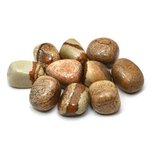 Picture Jasper Tumble Stone (20-25mm)