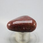 Pietersite Tumblestone ~34mm
