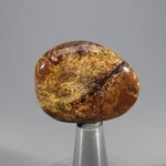 Pietersite Tumblestone ~35mm