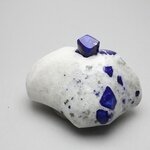 Polished Lapis Crystals on White Quartz ~38x60mm
