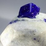 Polished Lapis Crystals on White Quartz ~44 x 64mm